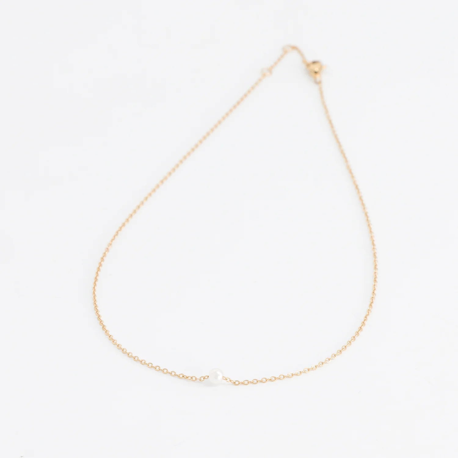 Collier Ara Acier inoxydable Jardin des Bijoux